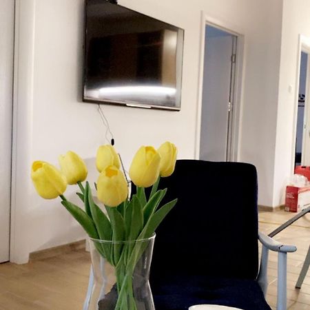 Vanja Apartman Vrsac Esterno foto