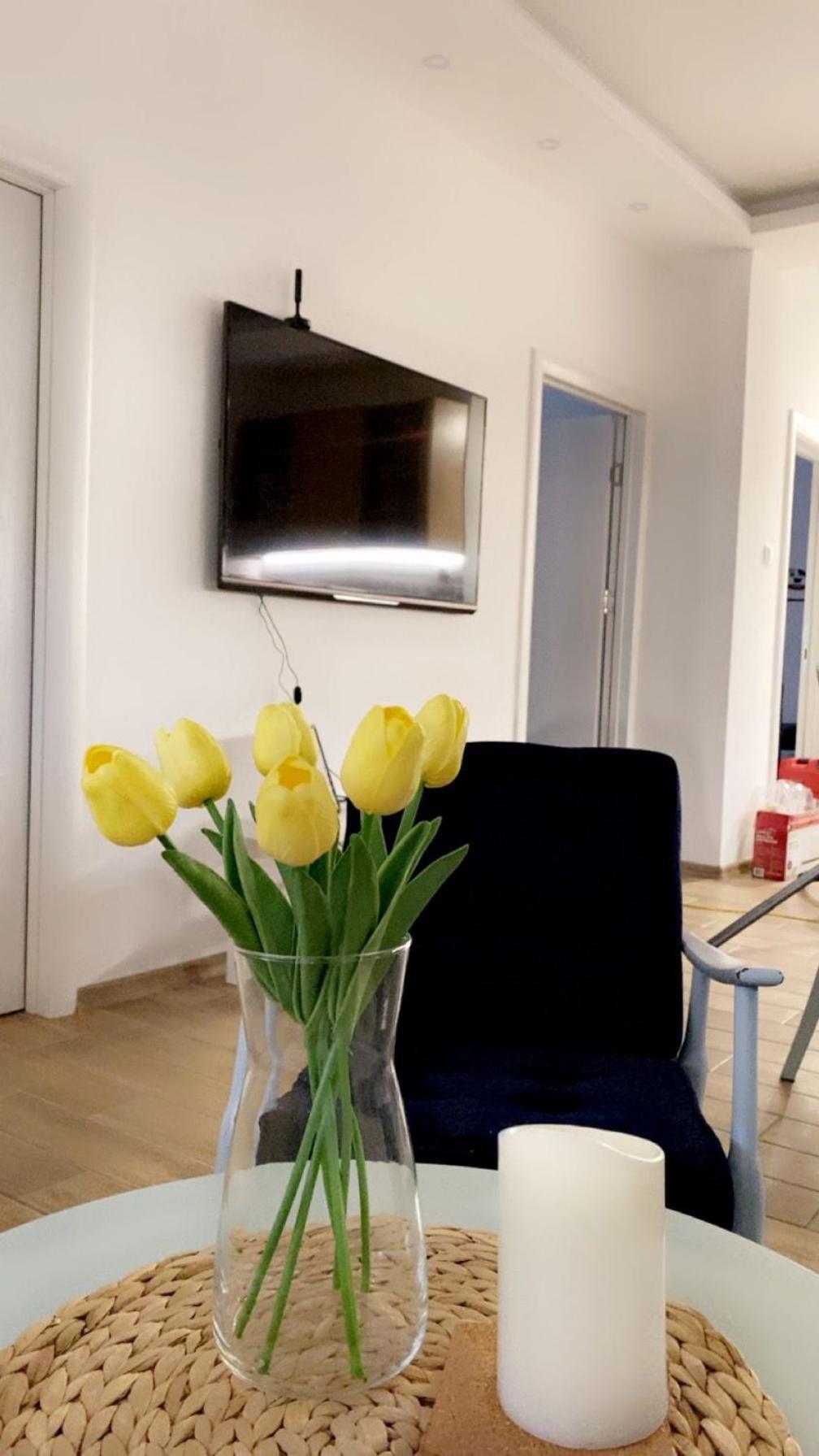 Vanja Apartman Vrsac Esterno foto