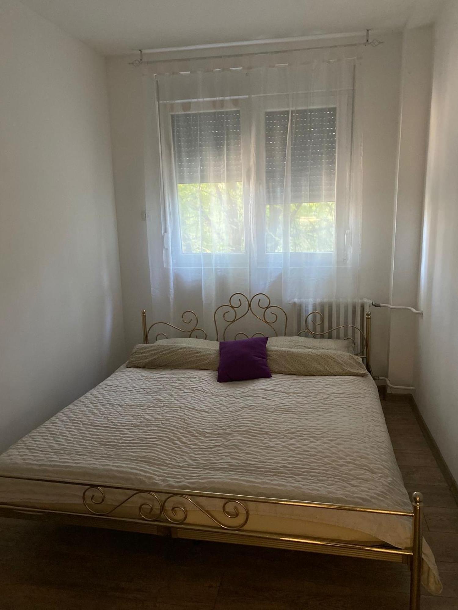 Vanja Apartman Vrsac Esterno foto