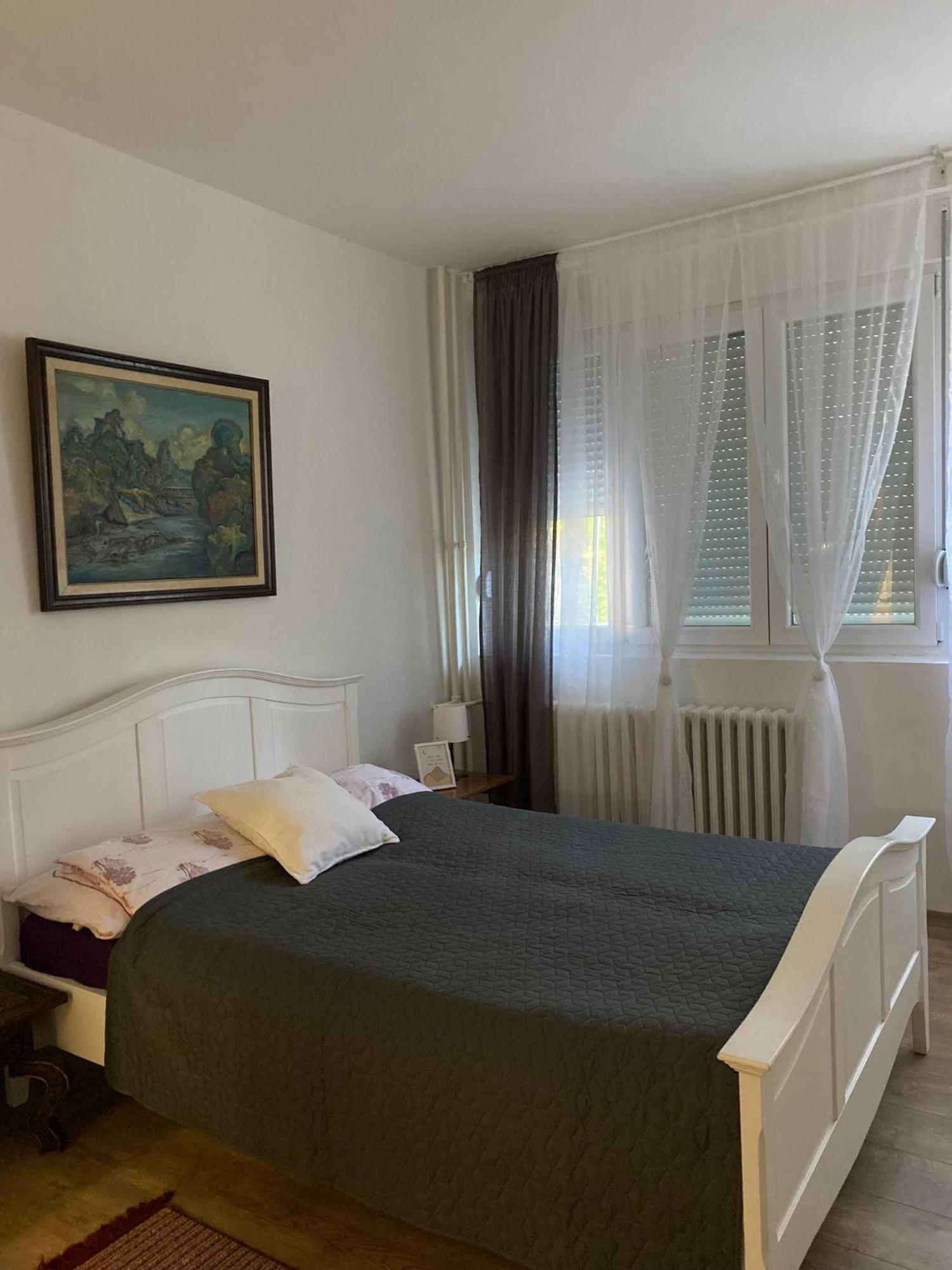 Vanja Apartman Vrsac Esterno foto