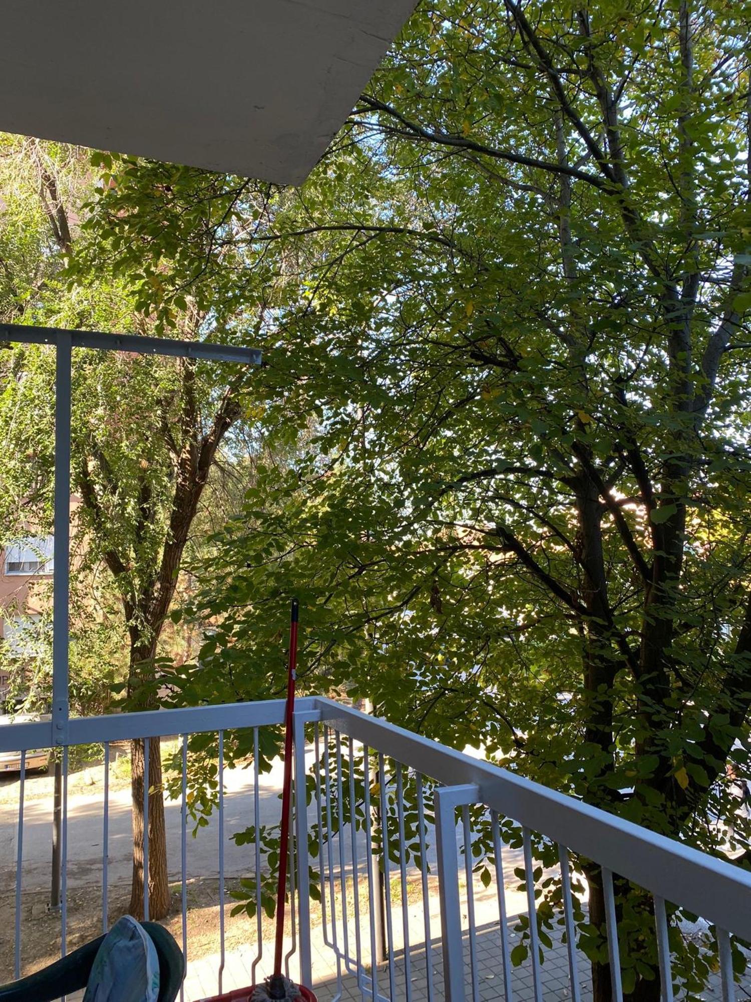 Vanja Apartman Vrsac Esterno foto